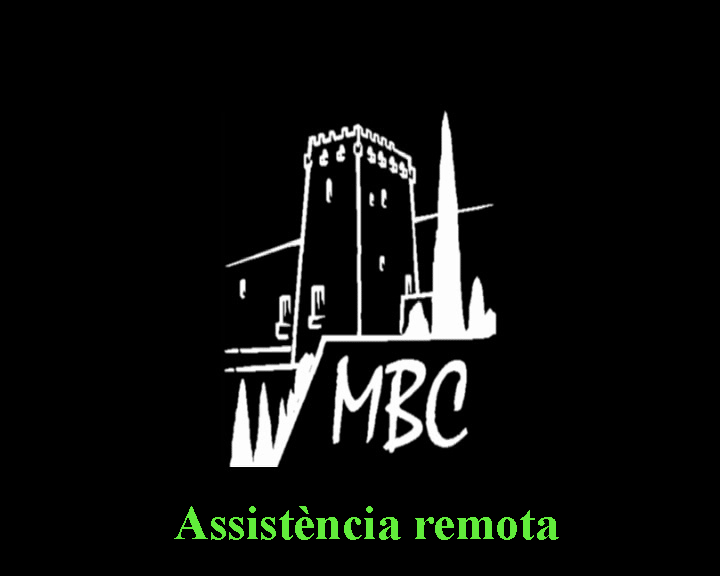 Assistència remota